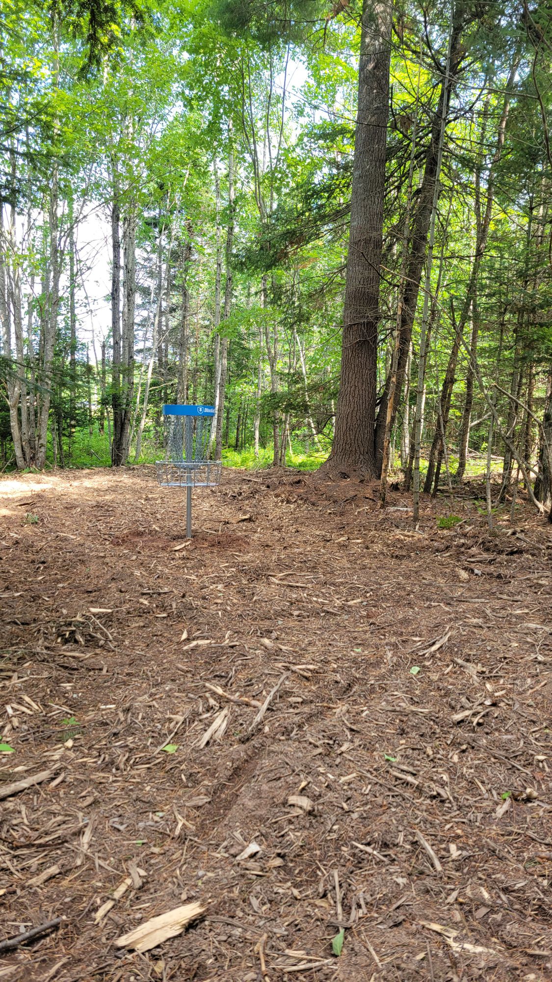 Come check out our course, it's at Maplr Street Park AR 42 Maple St. 

Once in parking lot, walk by green gate. The