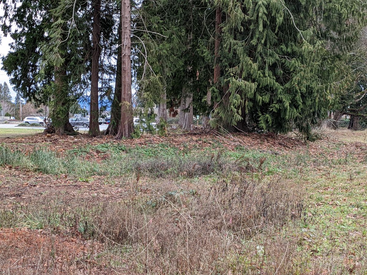 From tee #8. Basket is elevated on a stump to the right of the small white birdhouse near the middle of the picture. 