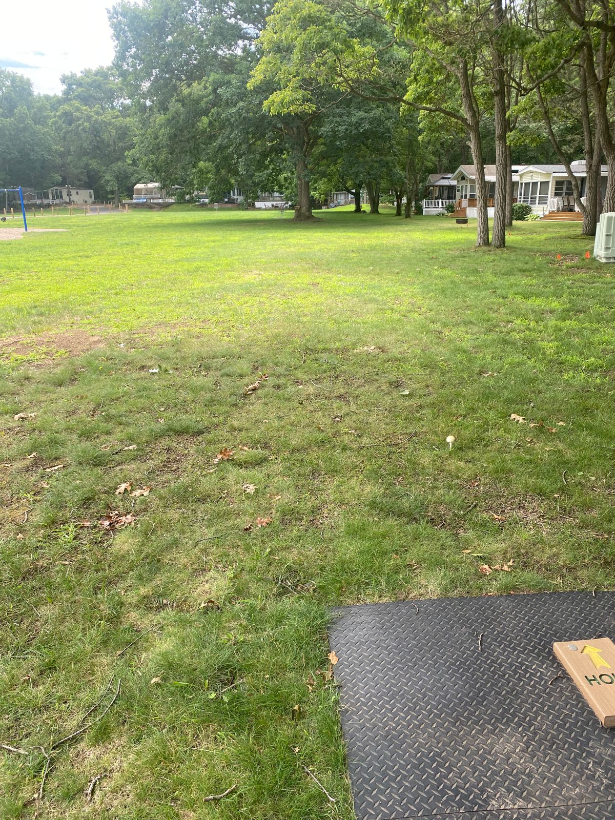 Hole 1 by the tree.