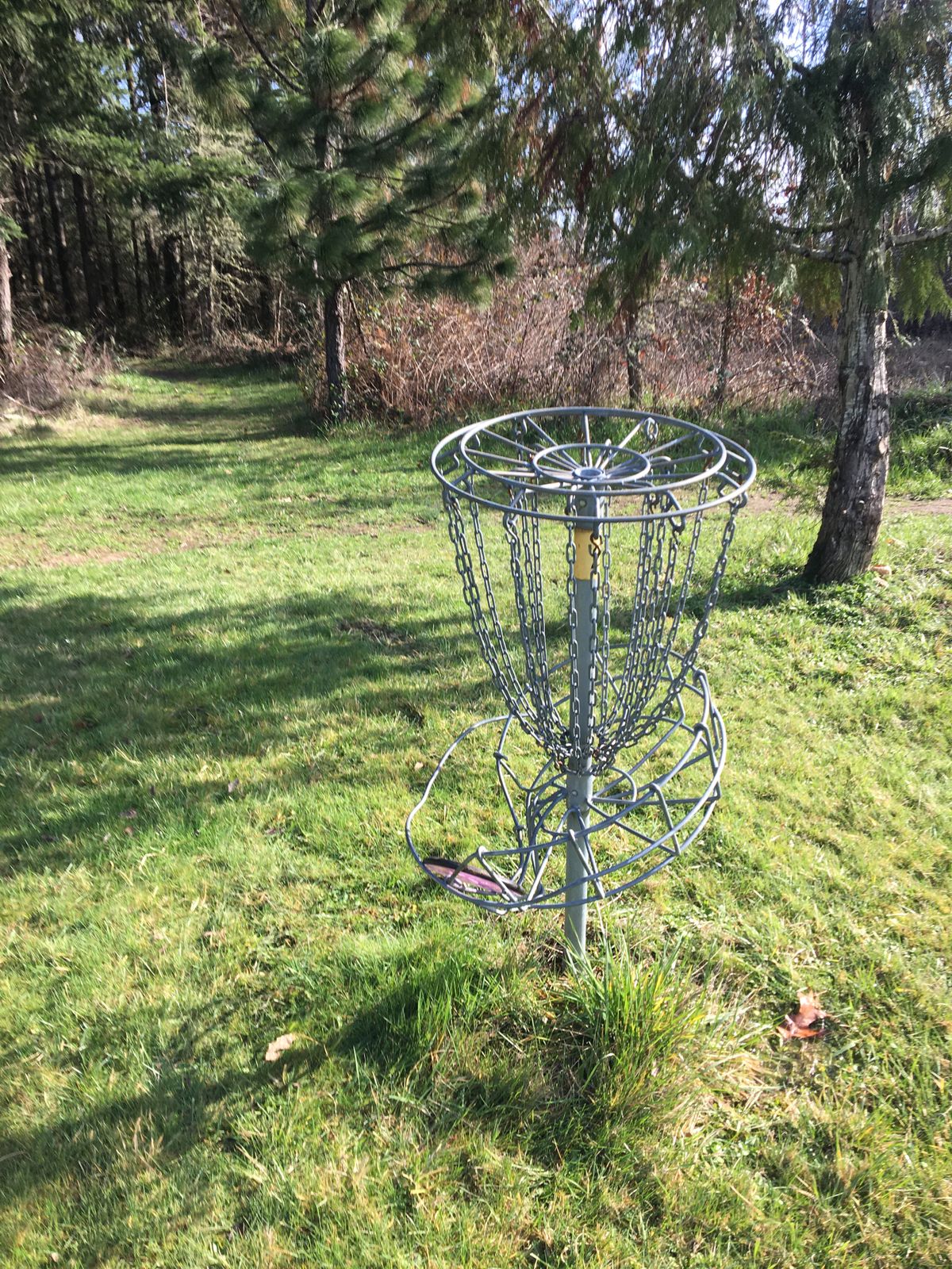 2nd basket is busted.
