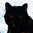 User avatar image