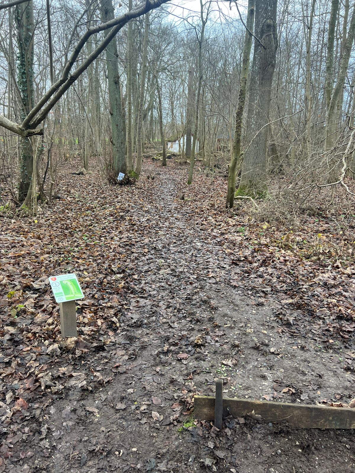 Hole 1