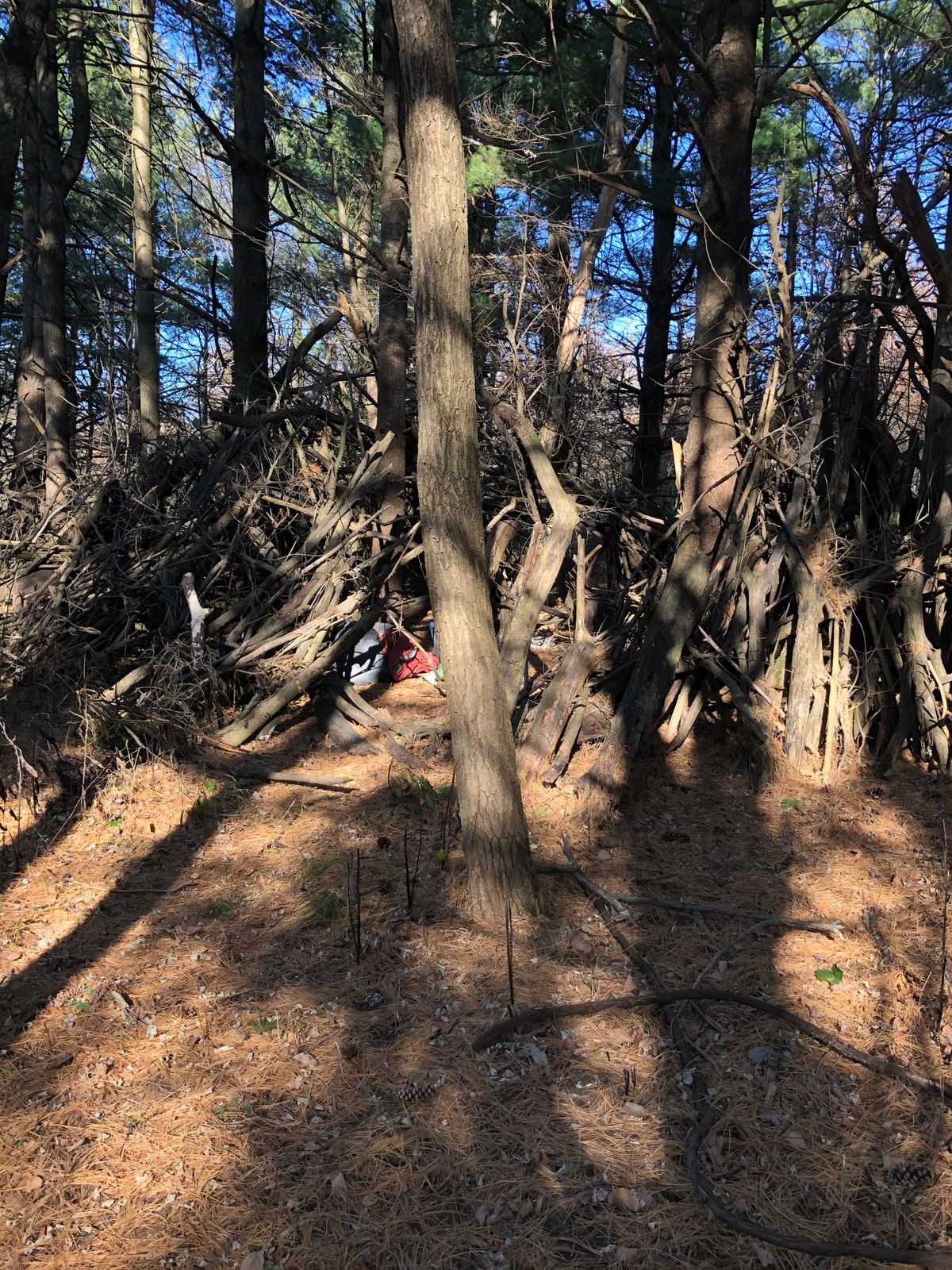 Homeless camp off hole 9