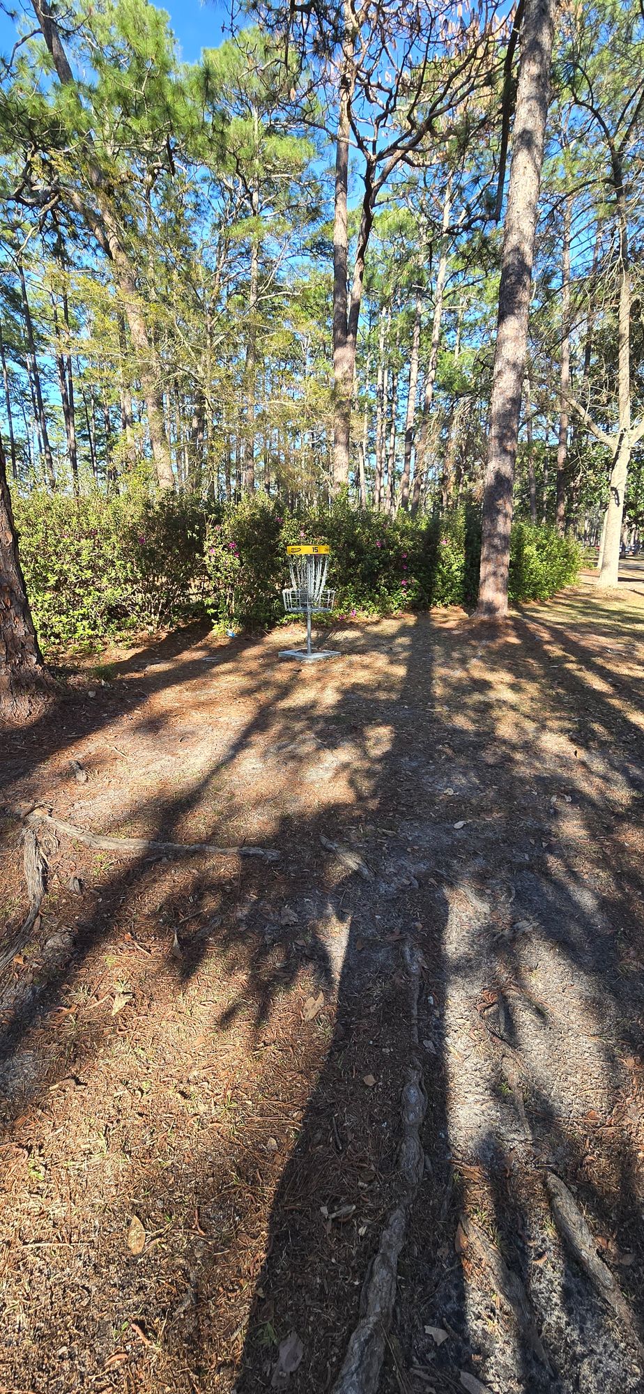 Hole 15 basket