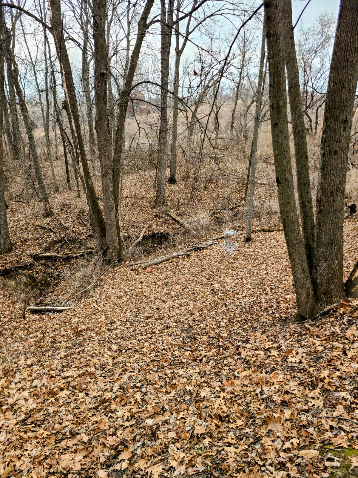 Looking down to #11 basket