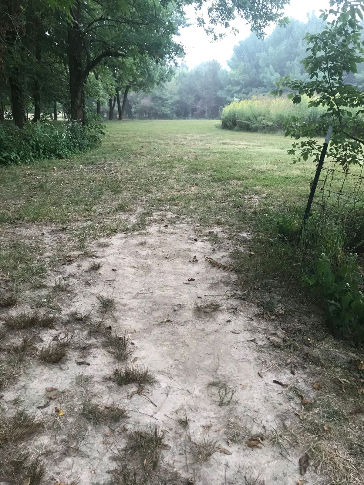 Hole 15 “tee pad”