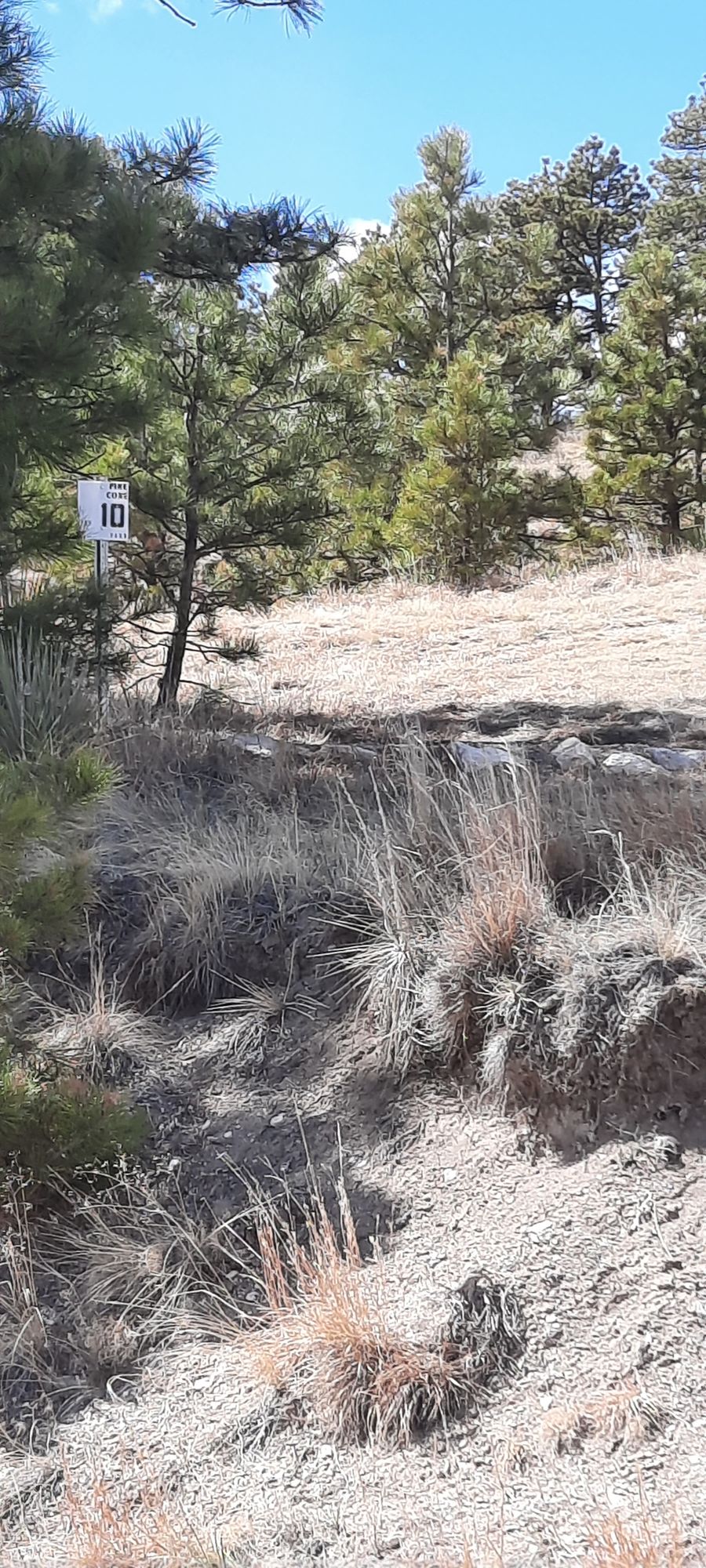 Hole 10 from behind tee