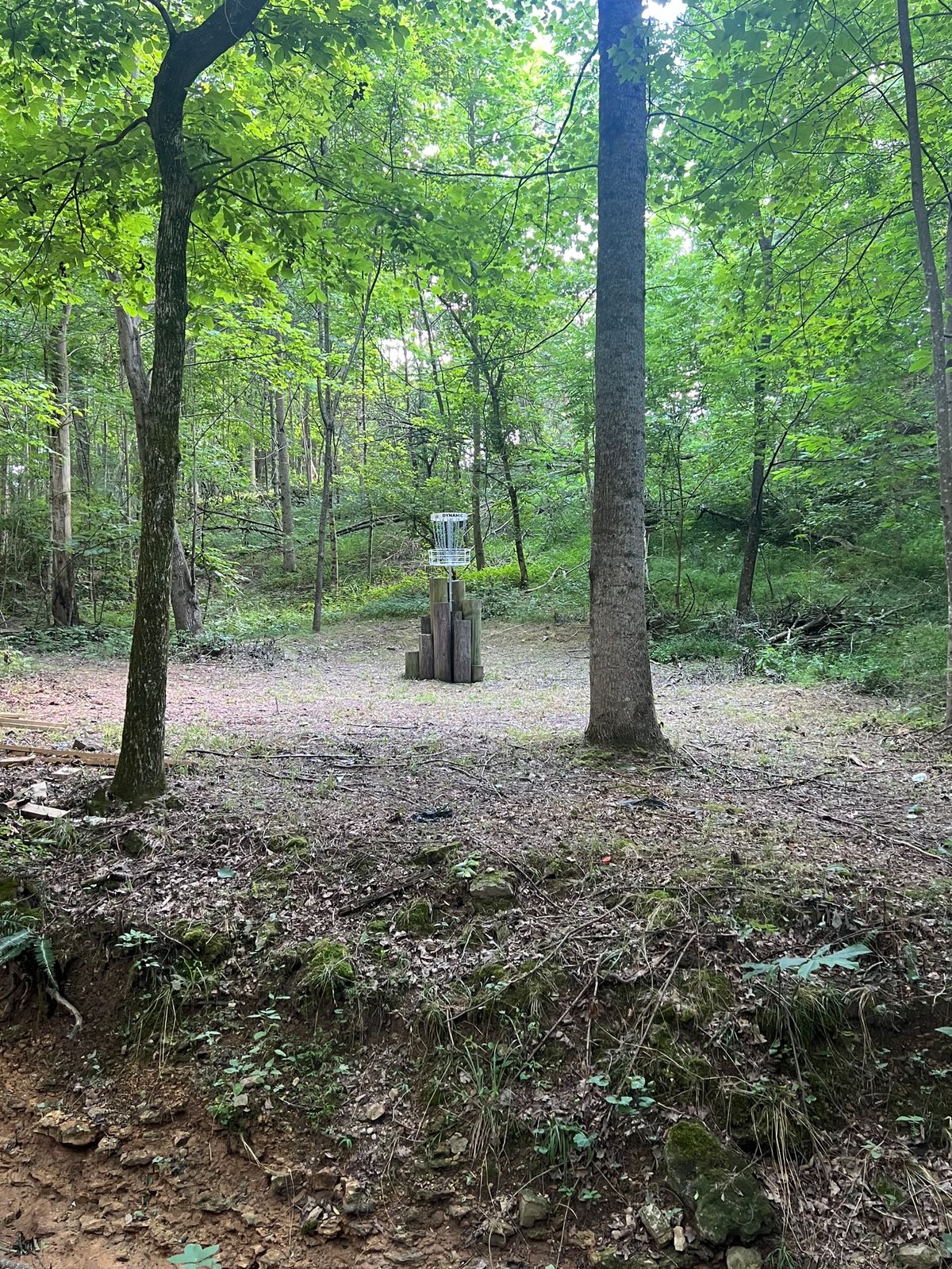 Hole 17 green across creek