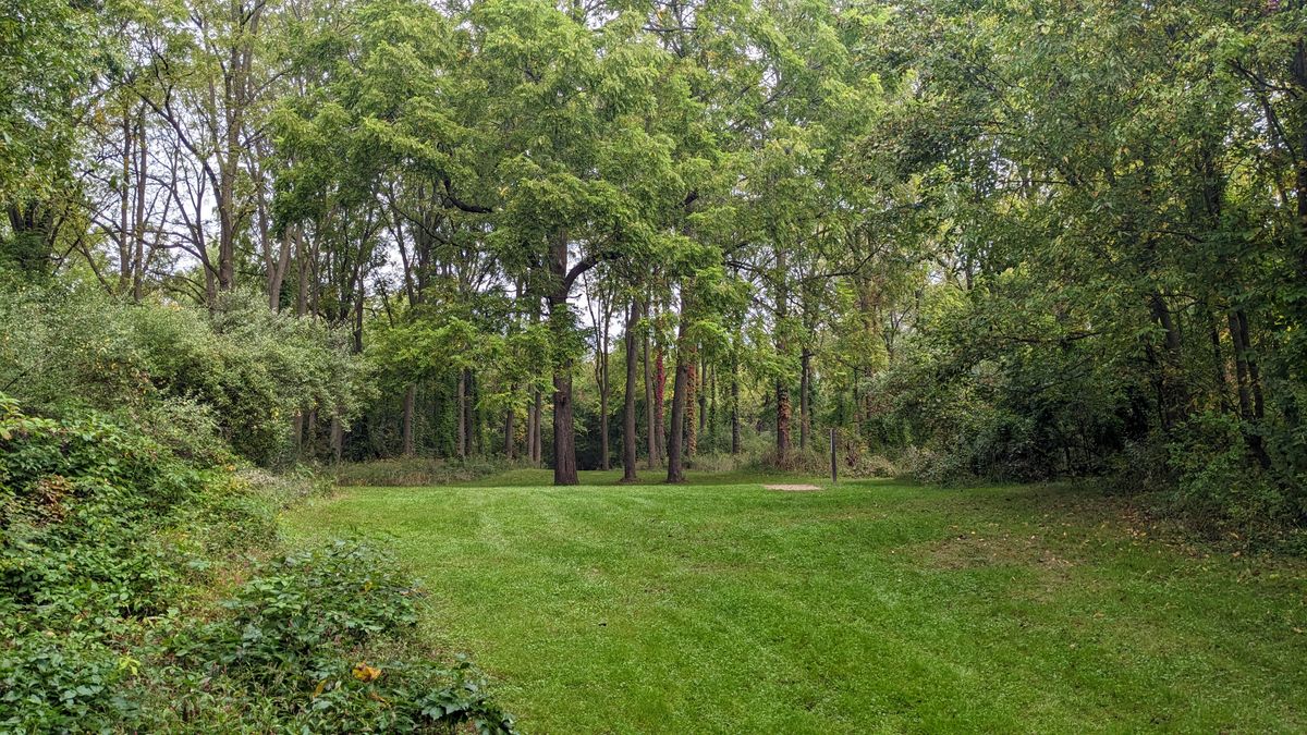Hole 7 Greens, from short tee looking toward long tee