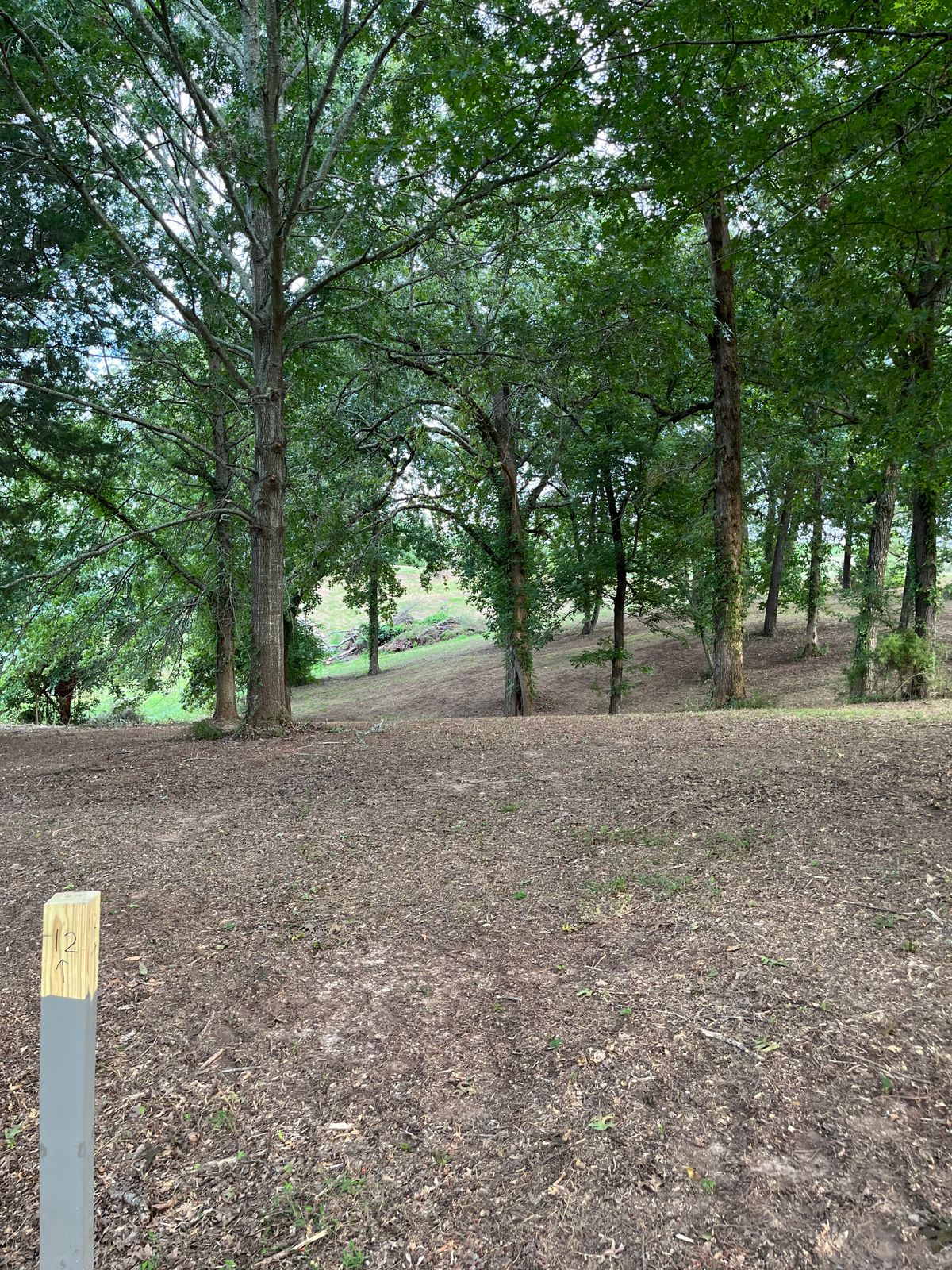 Hole 12