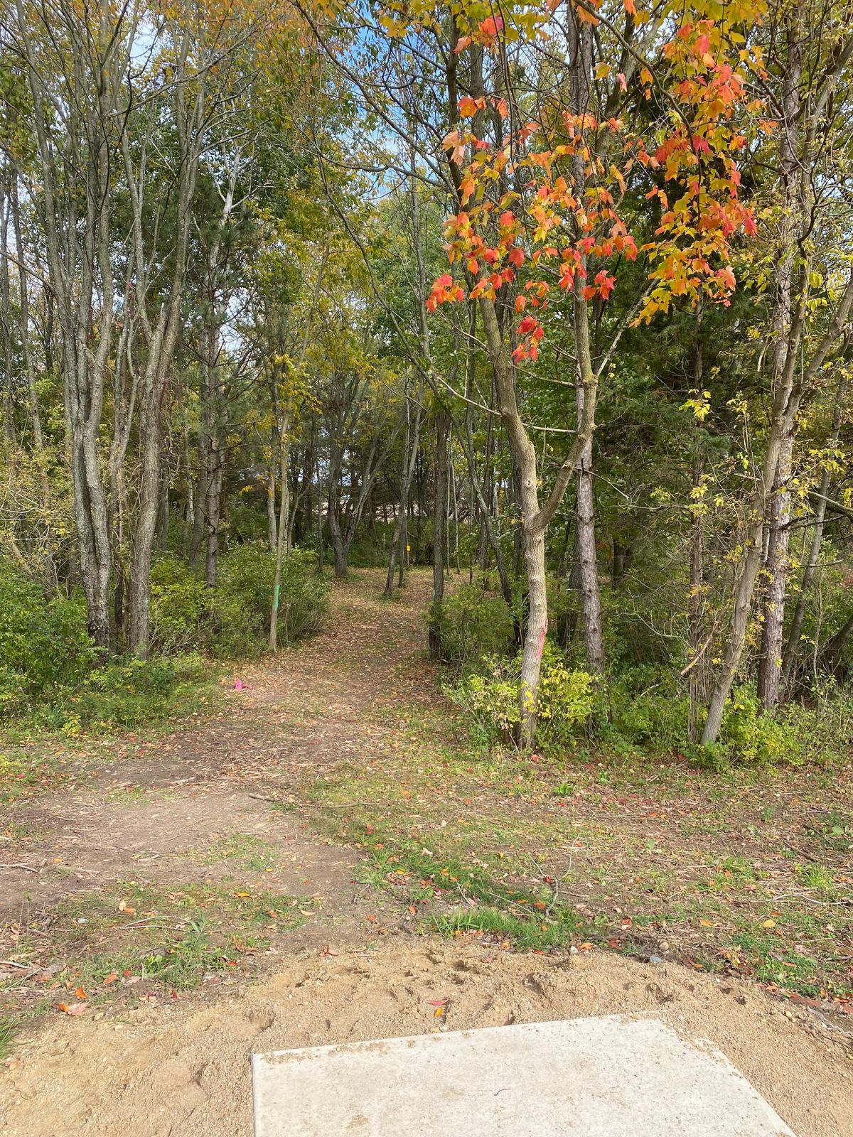 Hole 2 Tee Shot. Basket Left