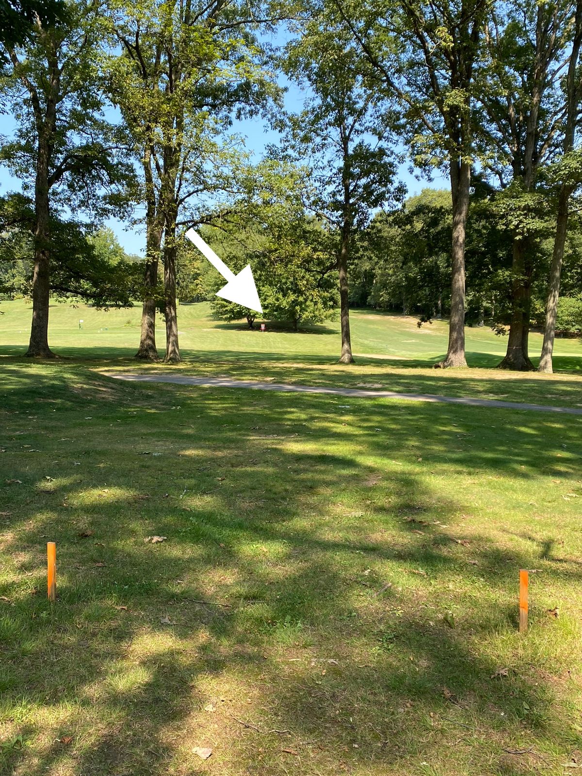 Hole 12