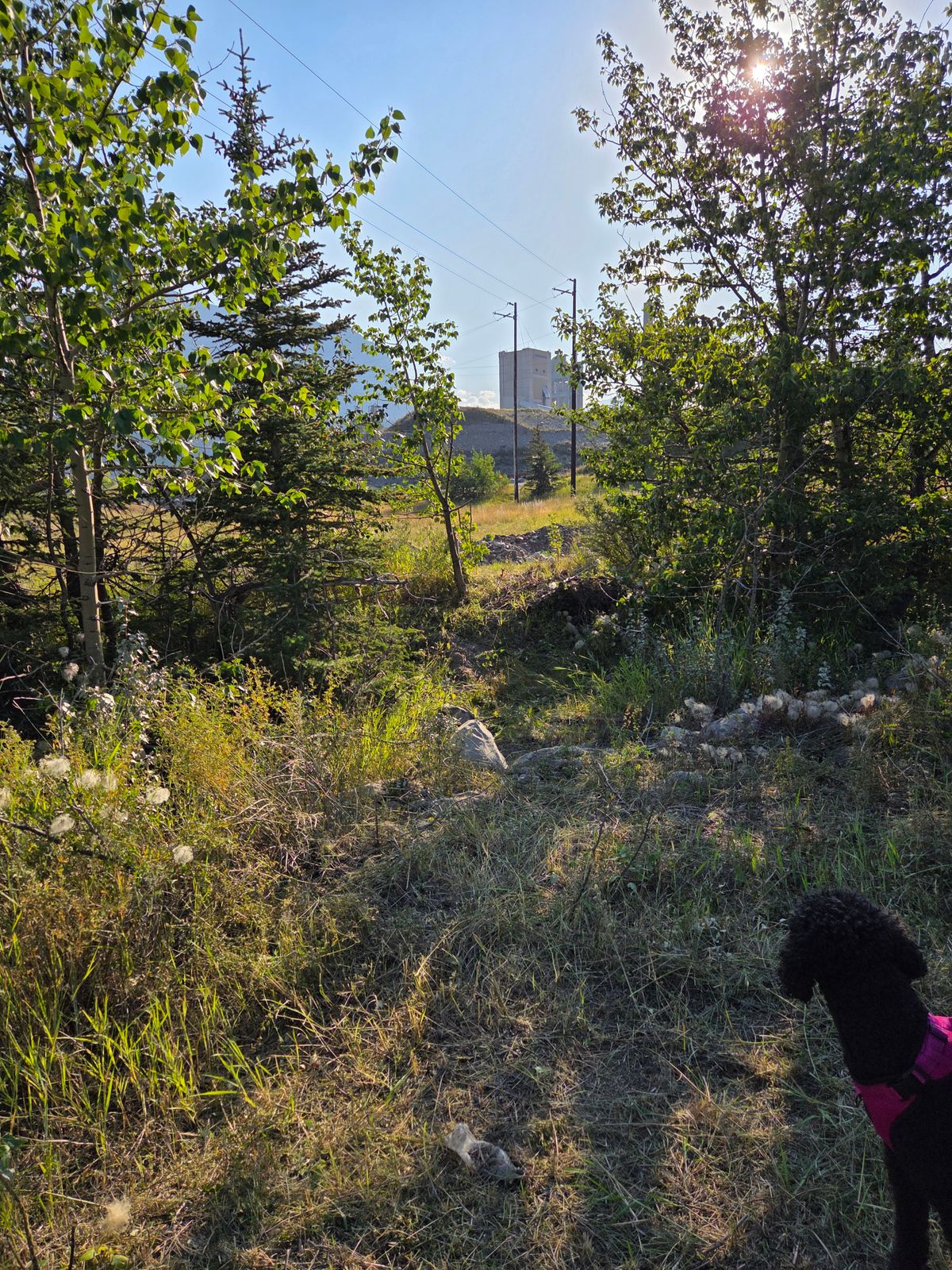 Hole 5