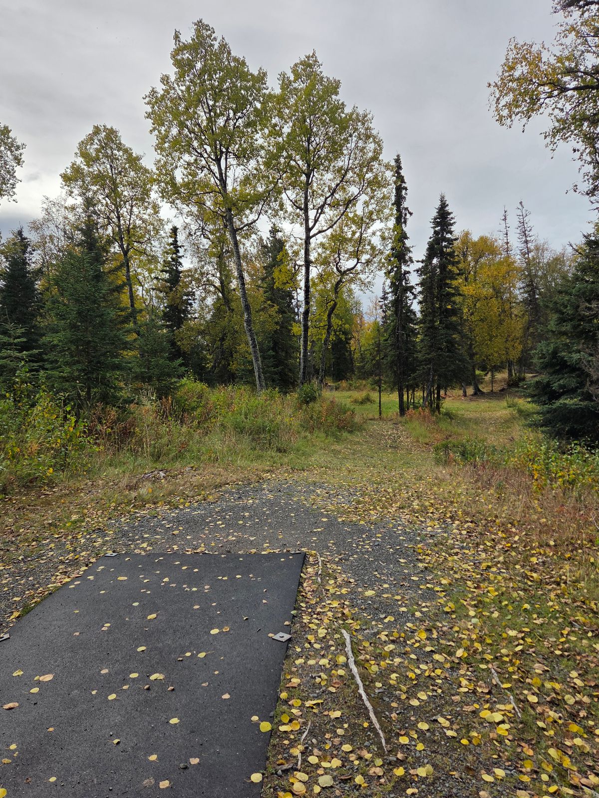 #18 tee pad and fairway