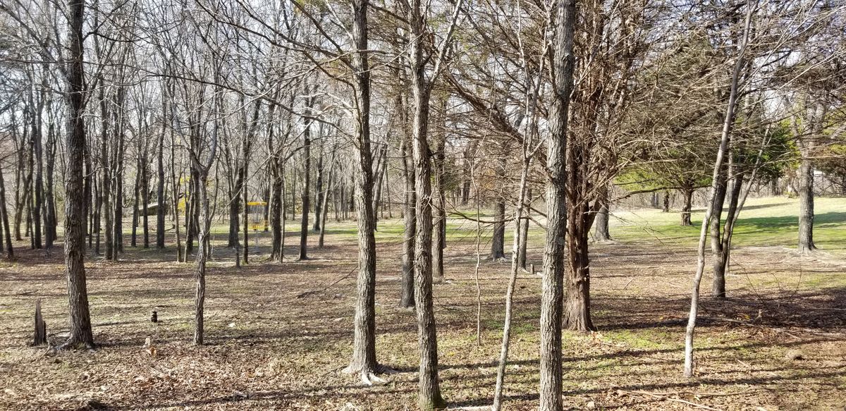 Hole 2:  The backside of the basket, facing tee pad.