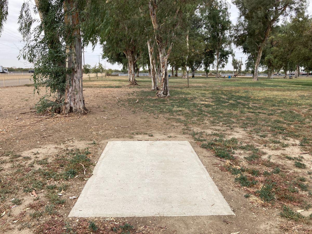Tee 5