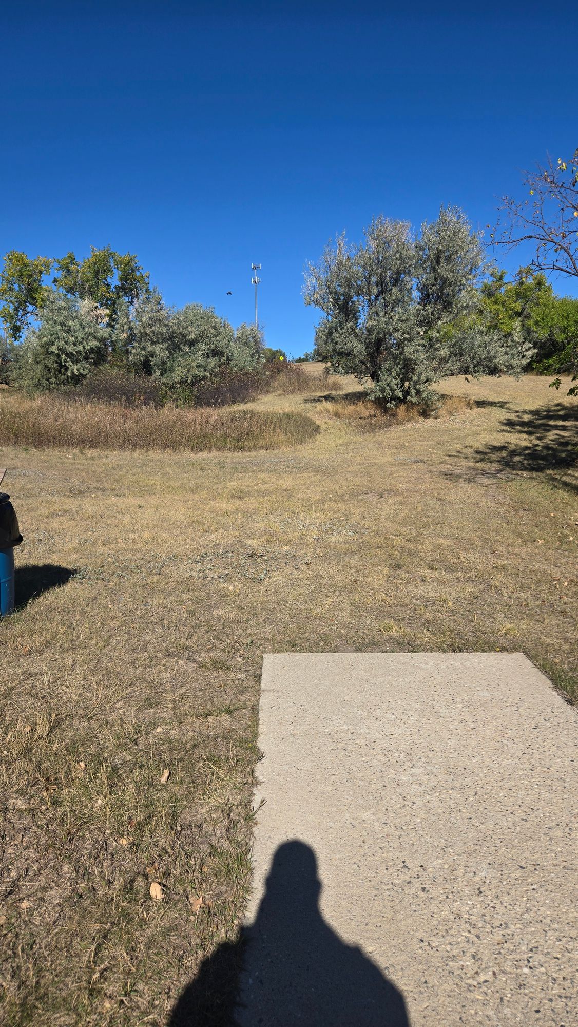 Hole 15