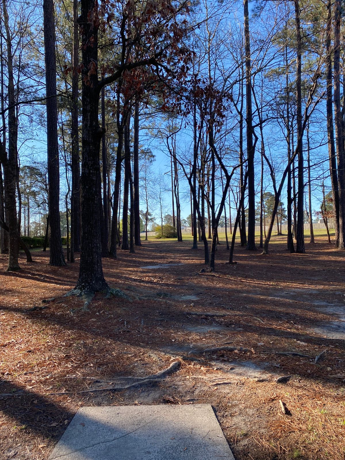 Hole 1 Blue Tee