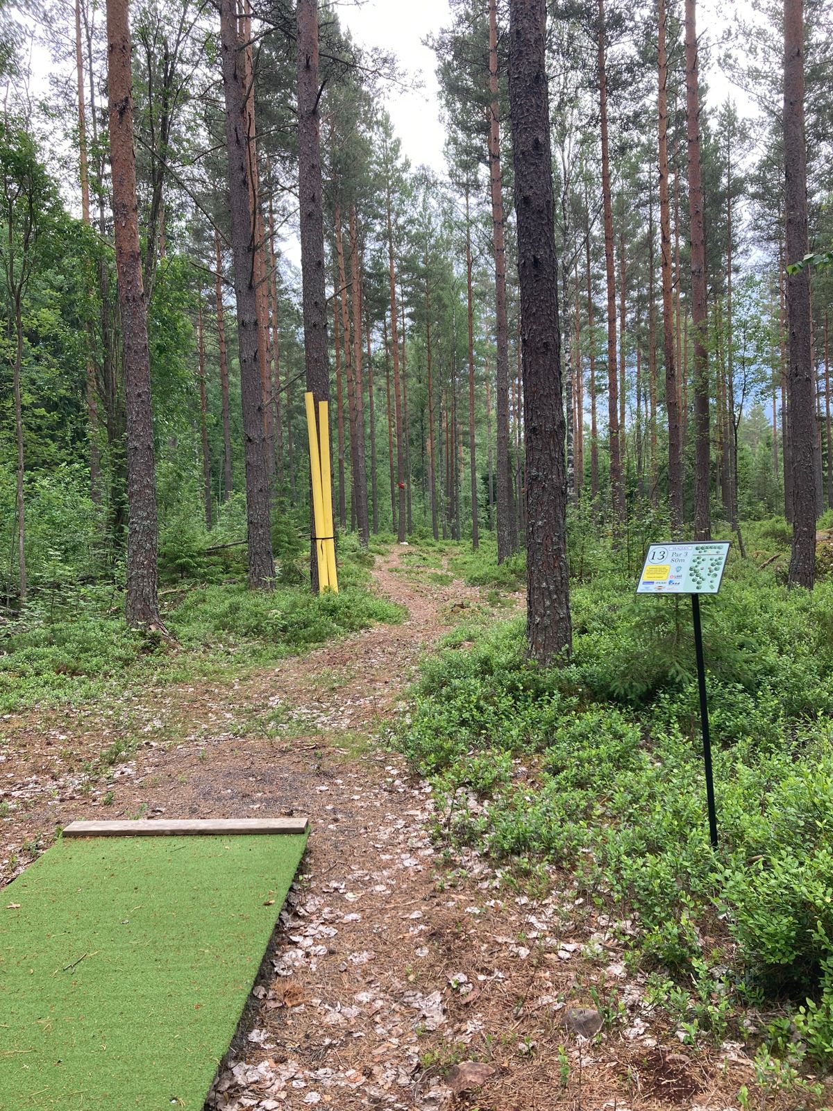 Tee hål 13