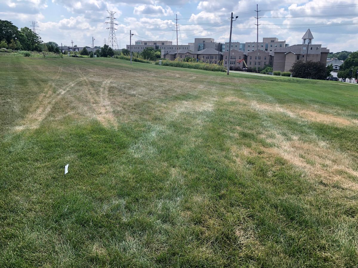 Hole 9 tee