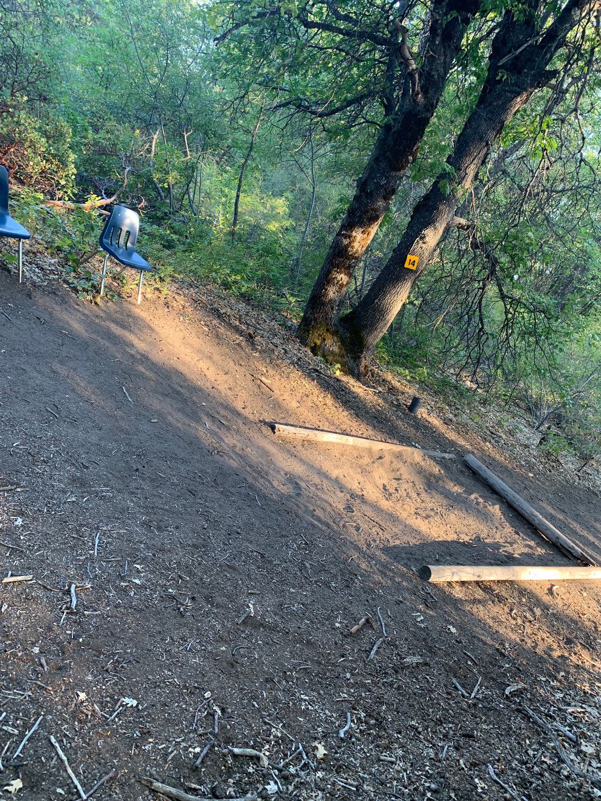 Tee box #14, dog leg right.