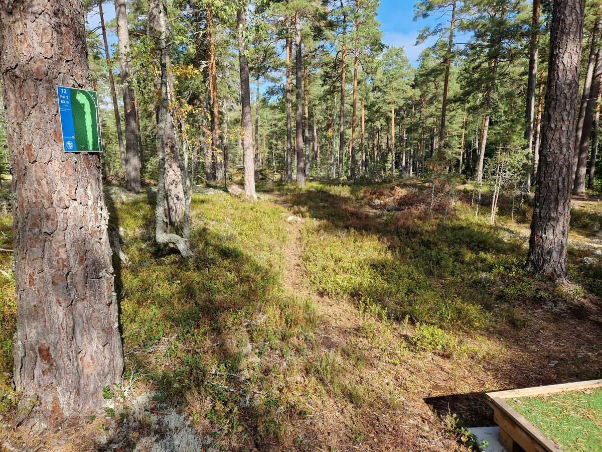 Hål 12