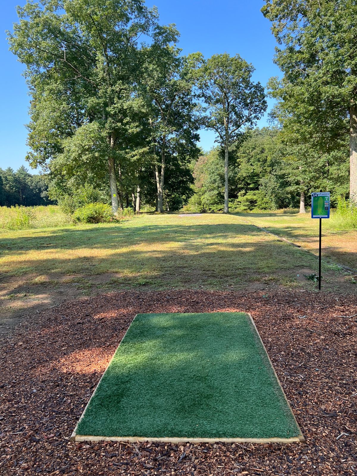 Hole 14 Tee