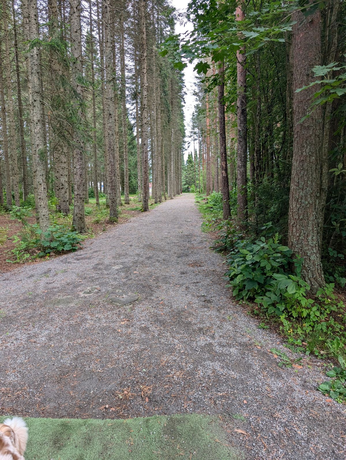 Hole 4