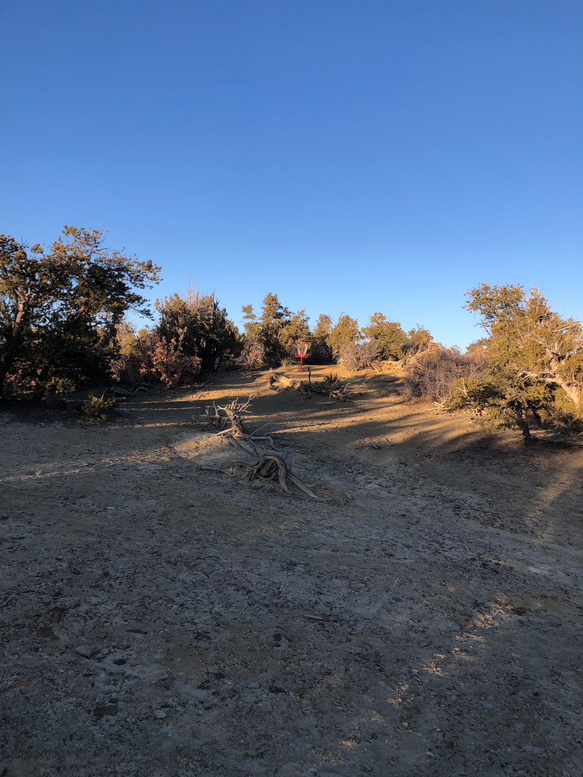 Basket for hole 3 & 6