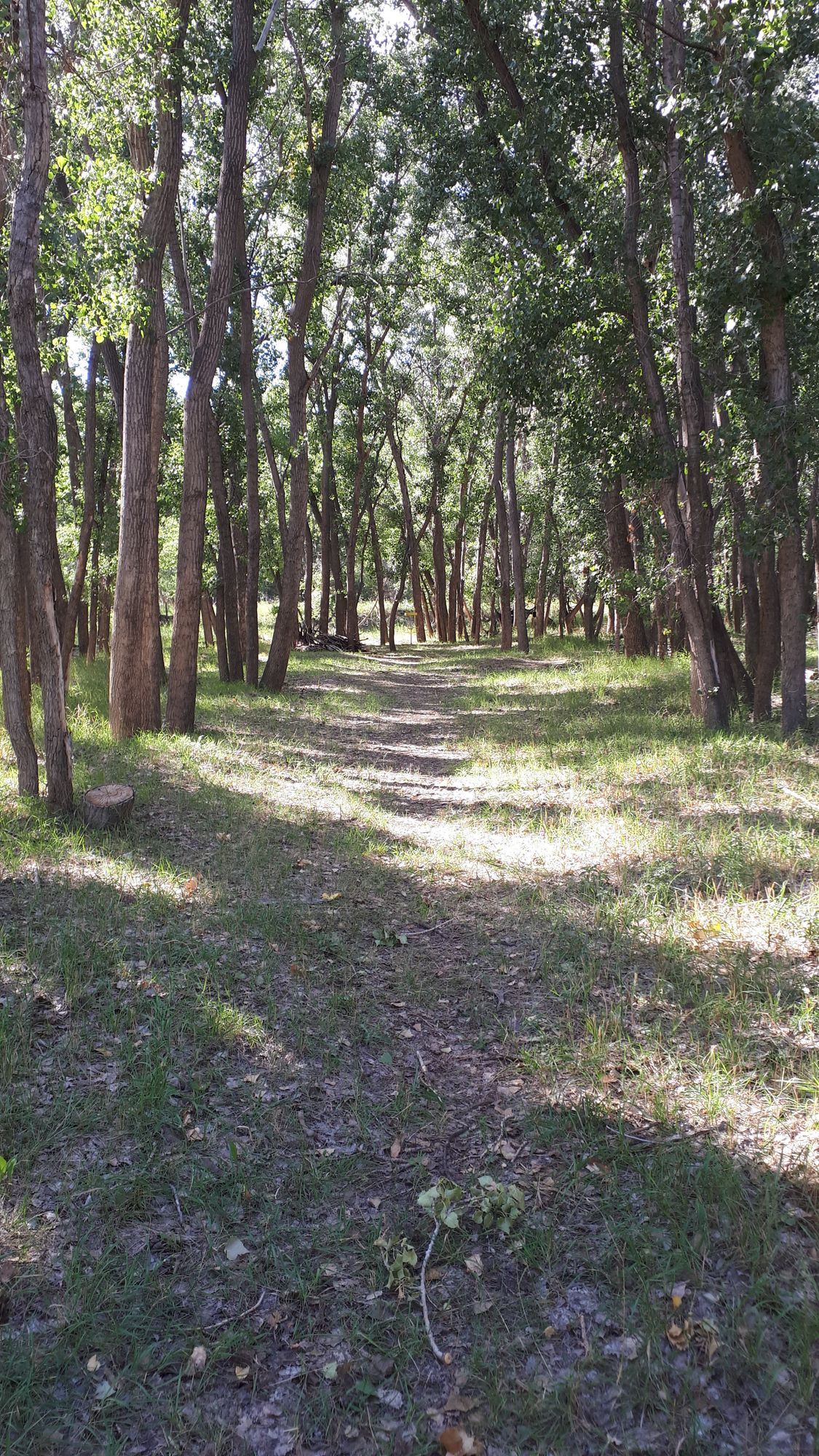 Hole 1 fairway