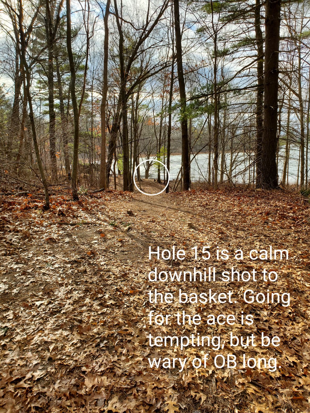 Hole 15's tee.