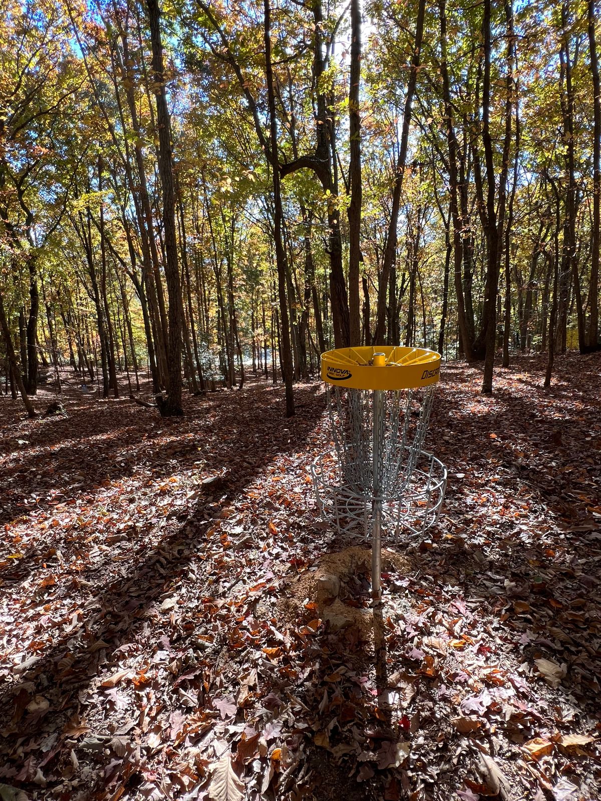 Hole 2 basket