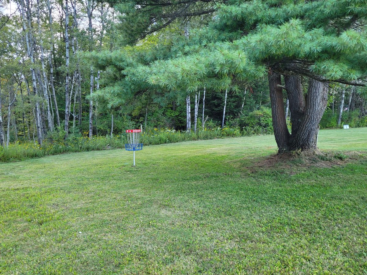 Green of 9