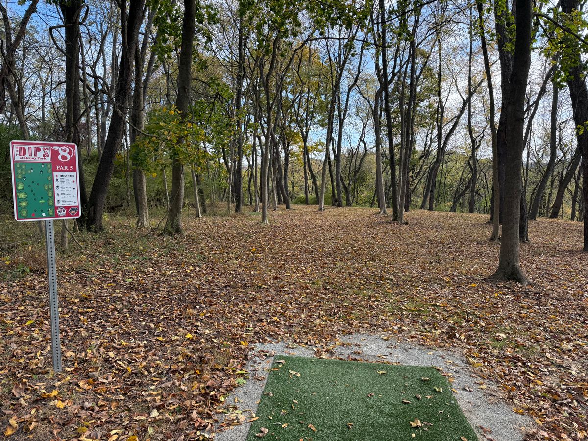 Hole 8 Red (short) tee