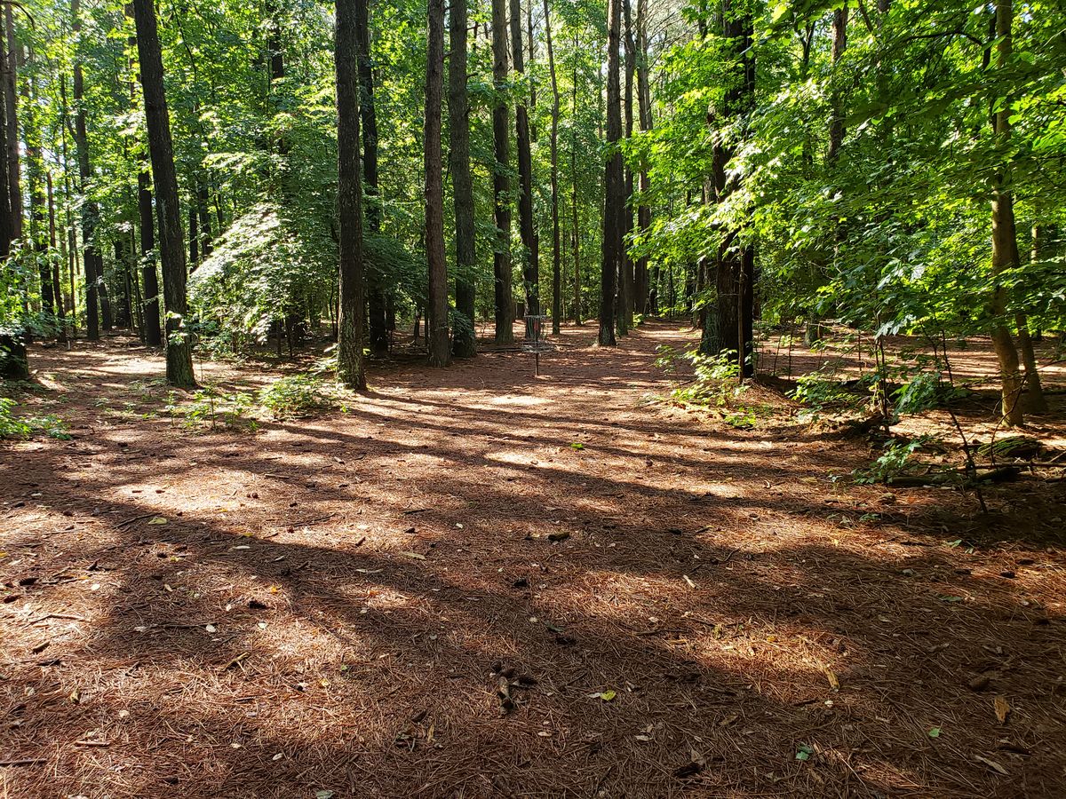Hole 12 Basket