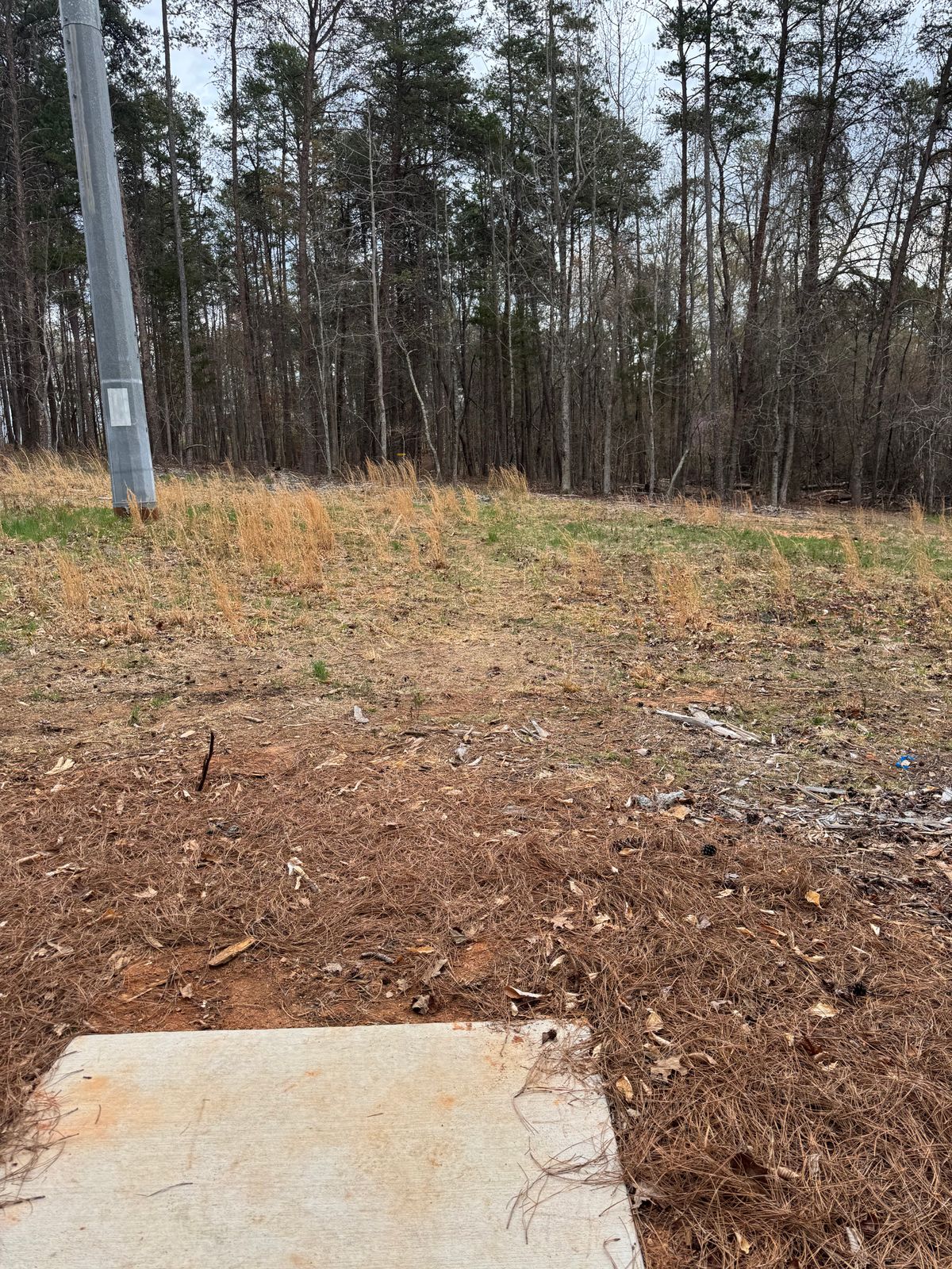 Hole 8 into the woods
