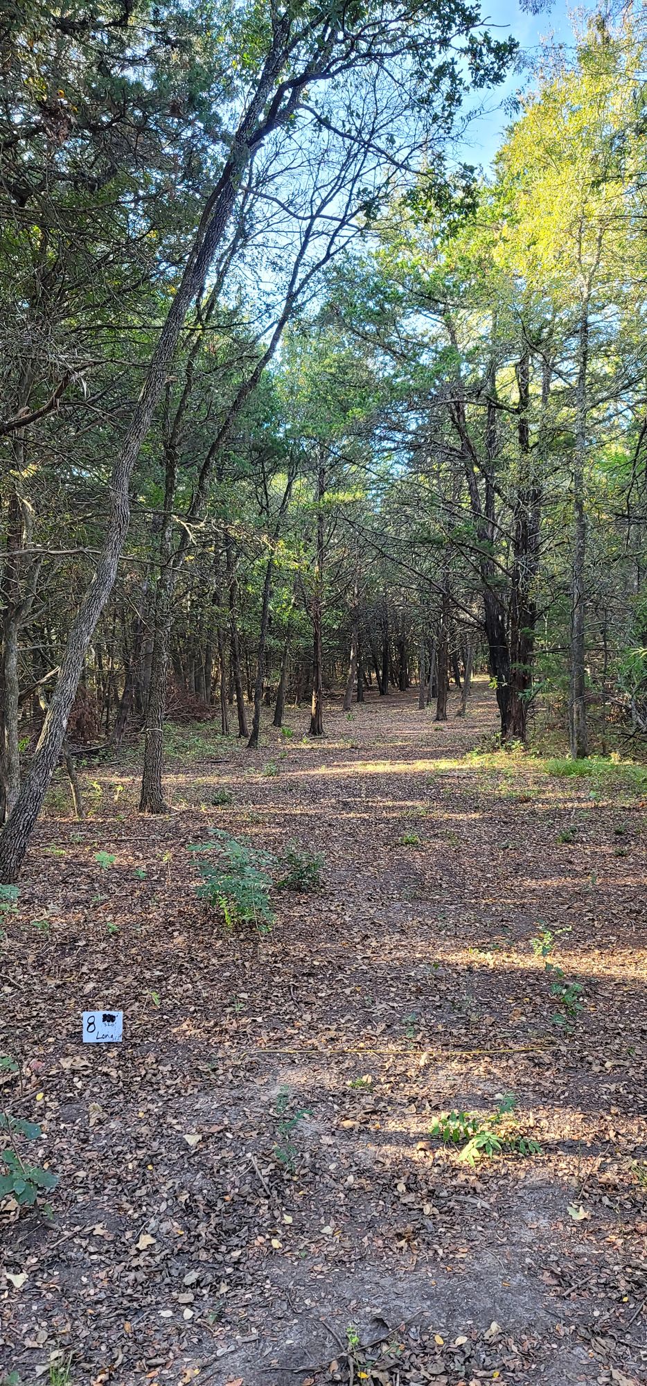Hole 8 long