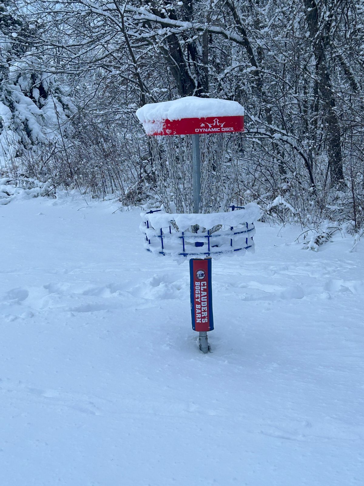 Hole #14 Snow covered Veteran basket