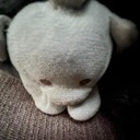 User avatar image