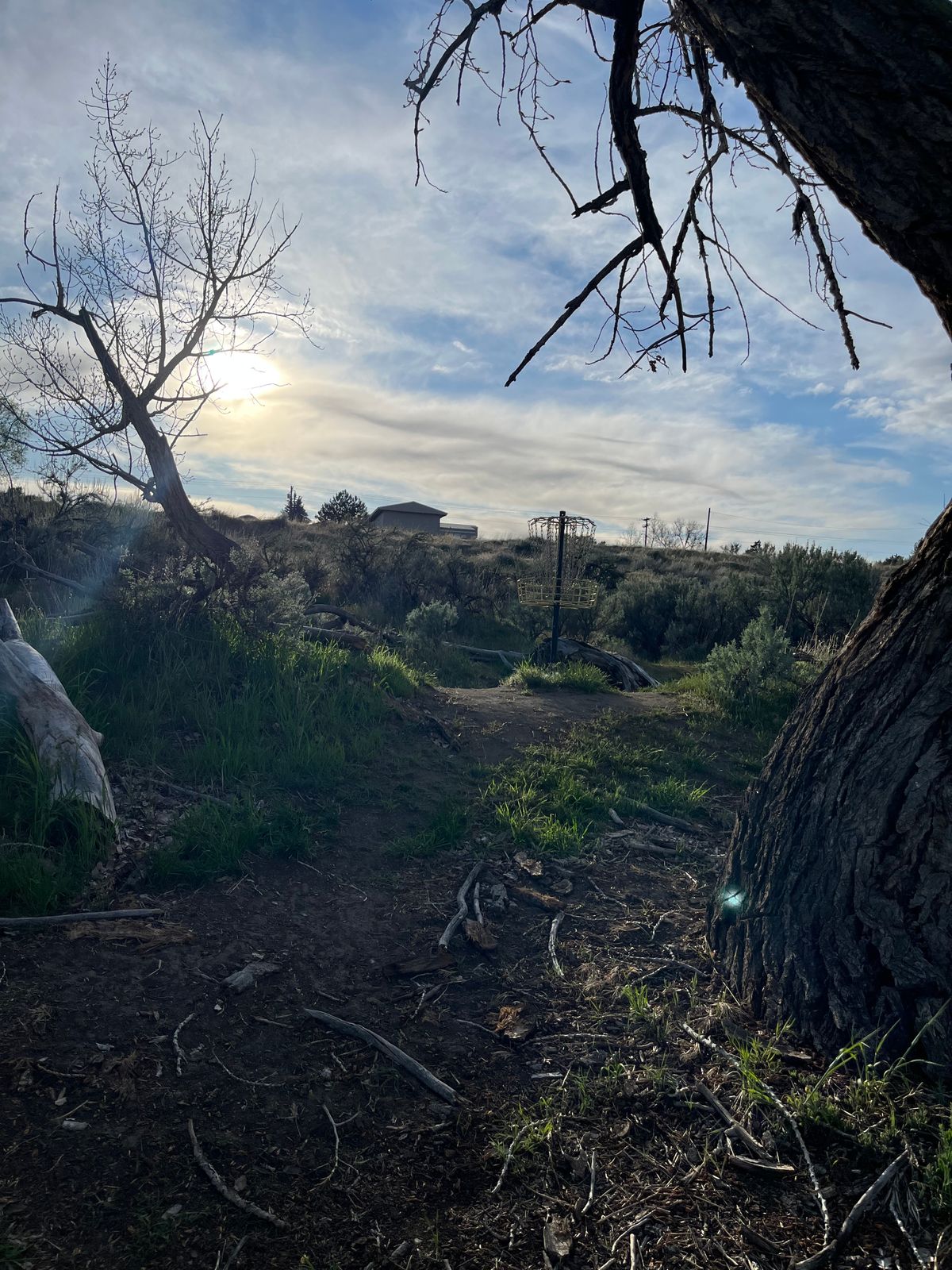 Hole 16