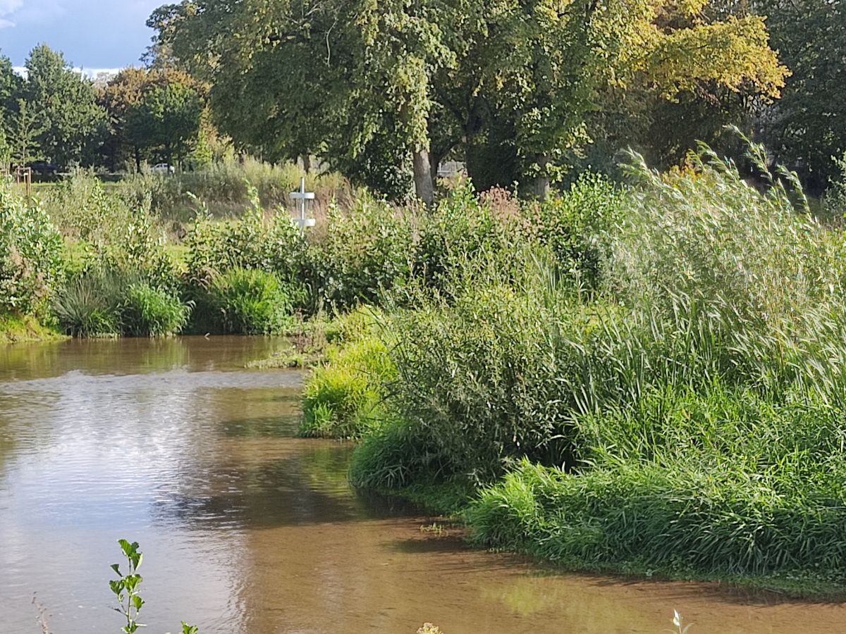 Nice Erft river and basket 9 in the background.