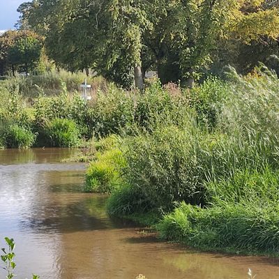 Nice Erft river and basket 9 in the background.