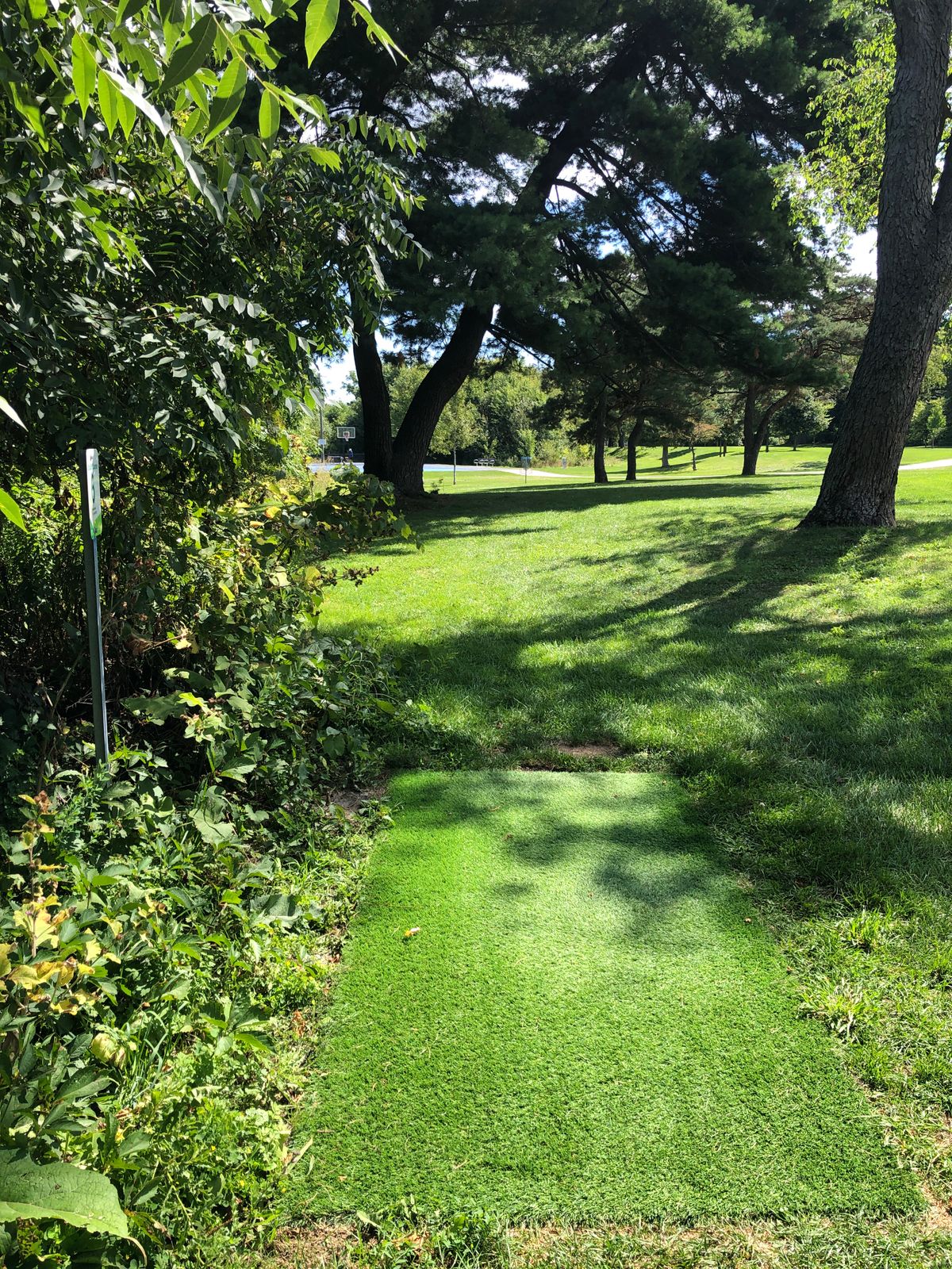 Hole #6 - Tee pads installed June 2024.