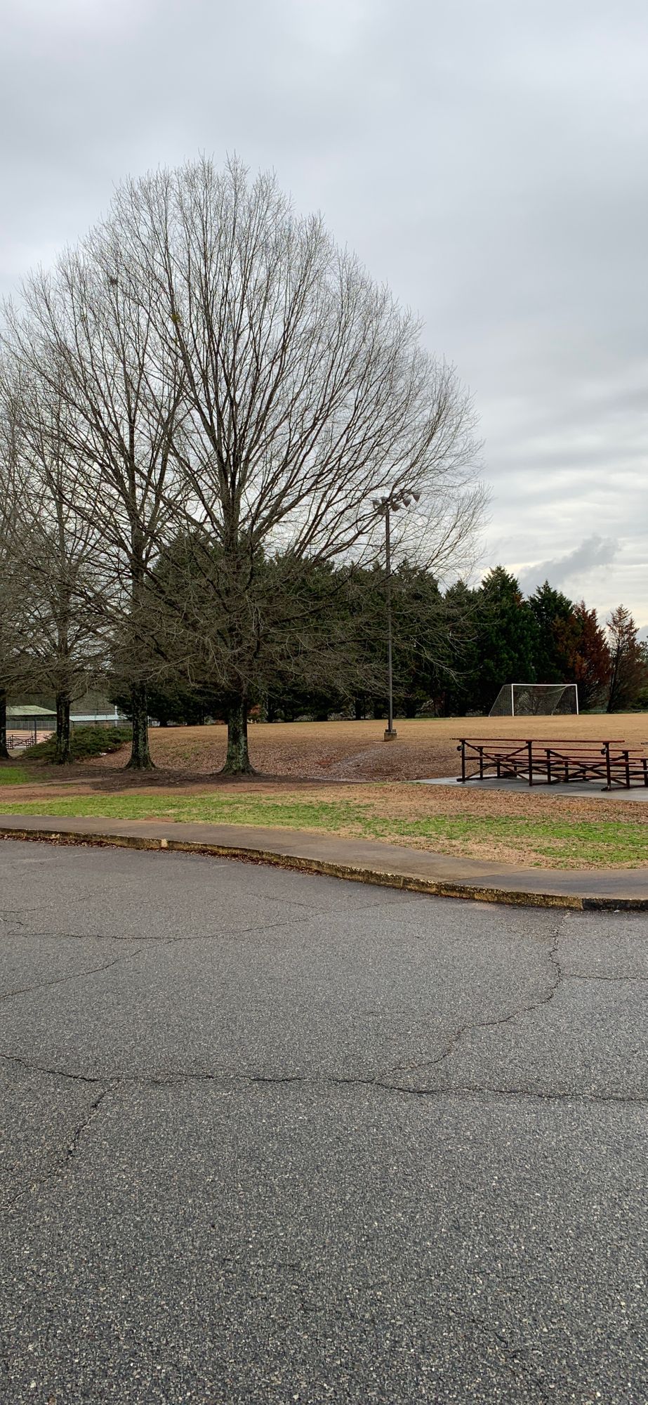 The first hole is behind the row of Christmas Trees next to one of the Baseball Fields.