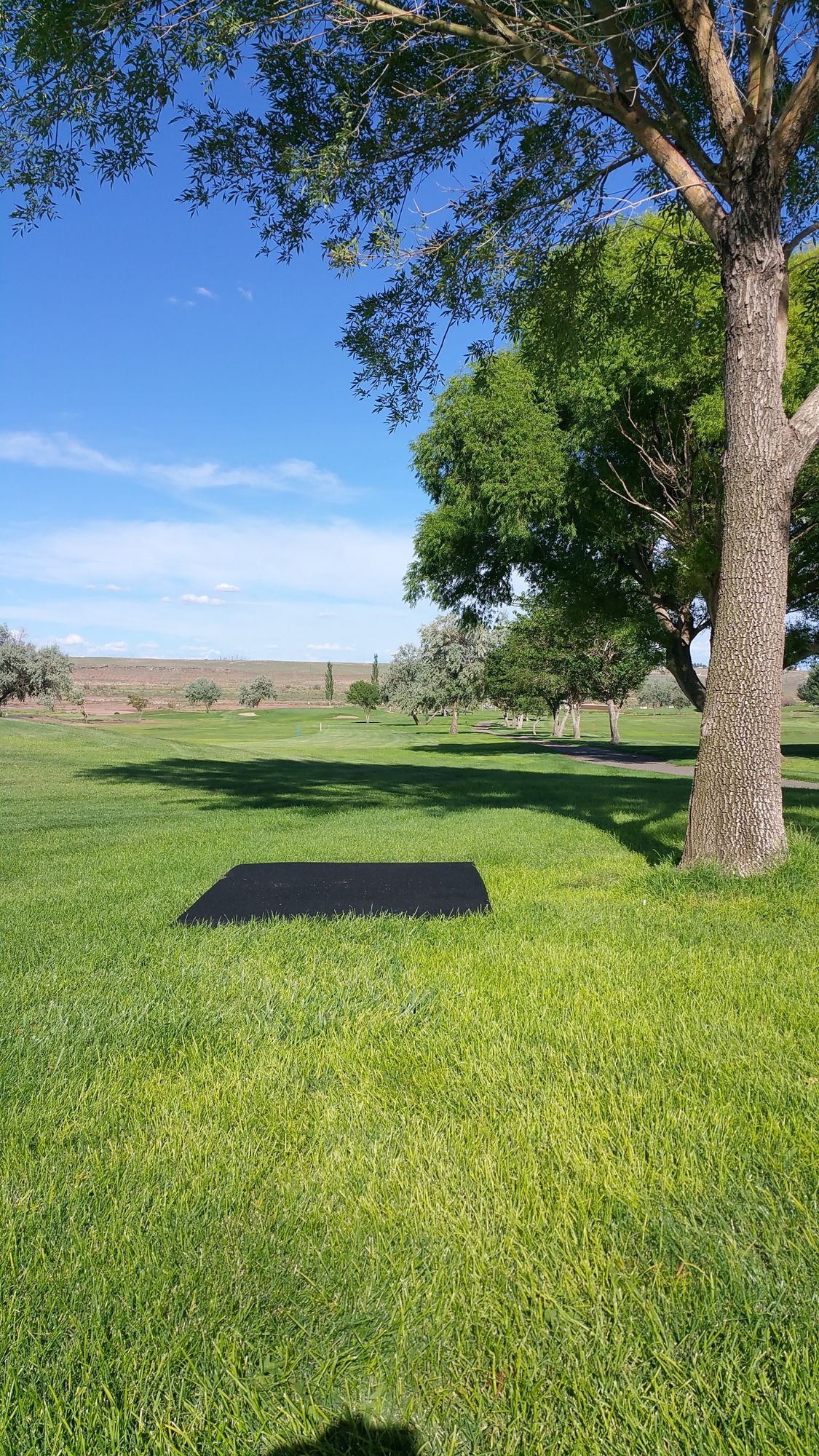 Hole 3 tee pad