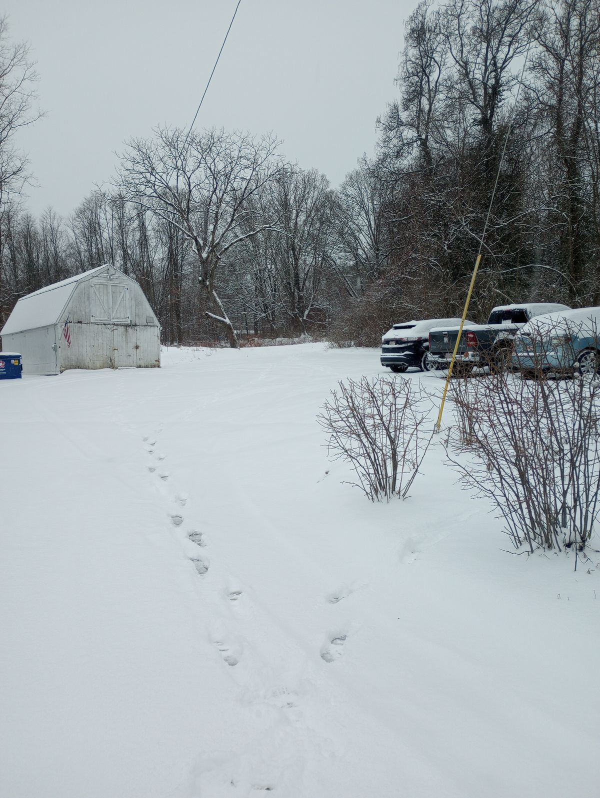 Tee Winter