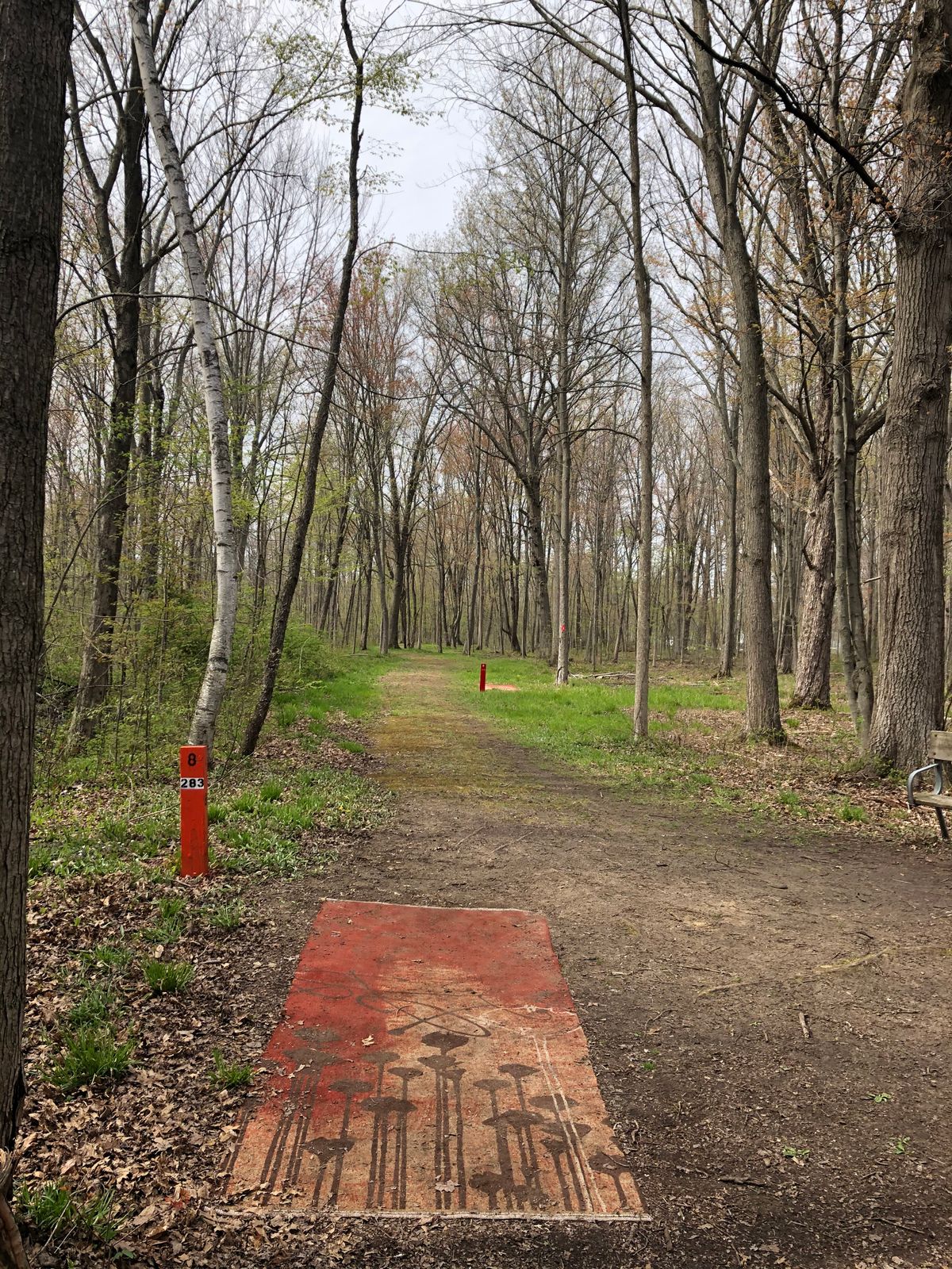 Hole 8 long tee