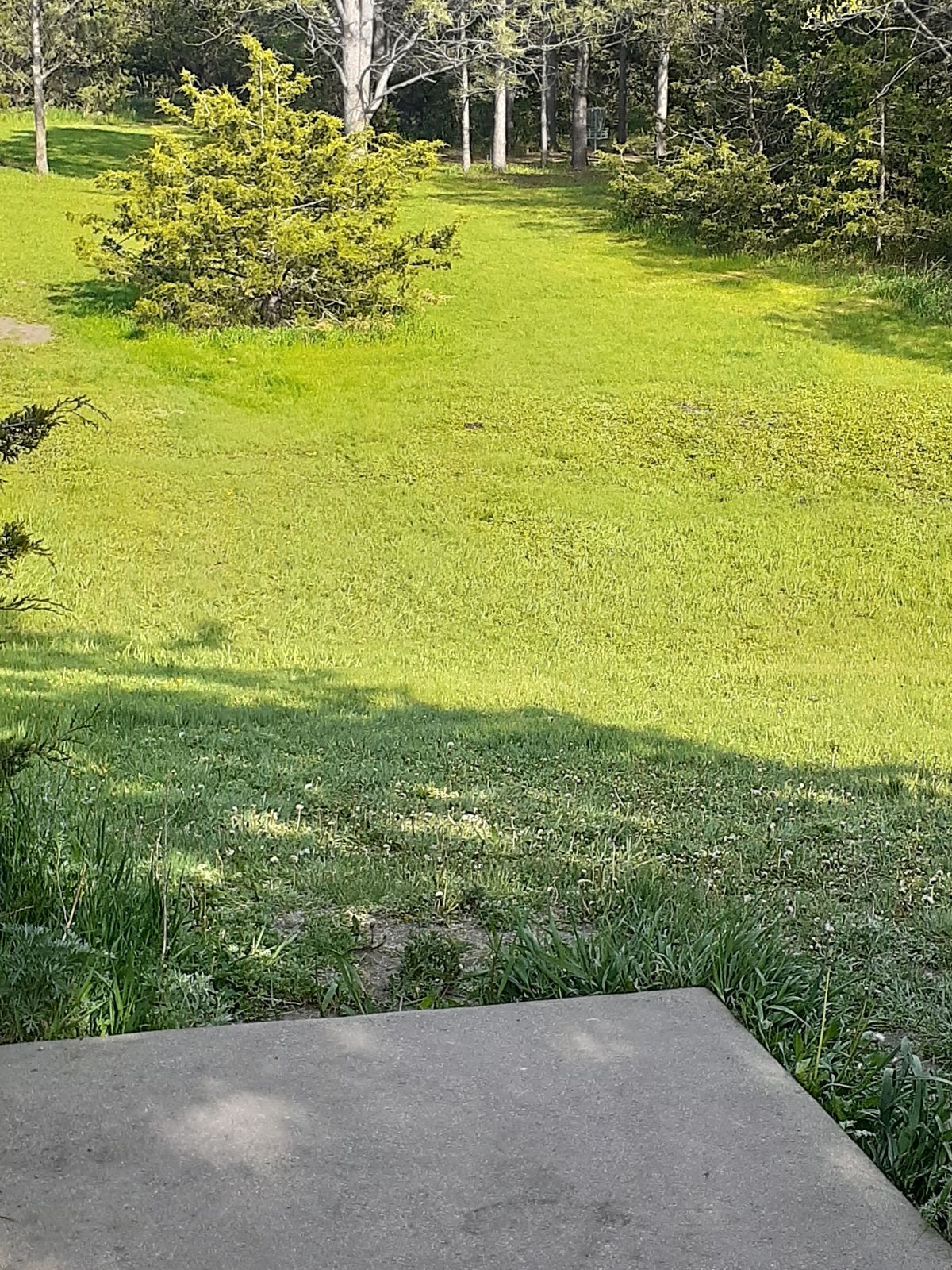 Hole 9