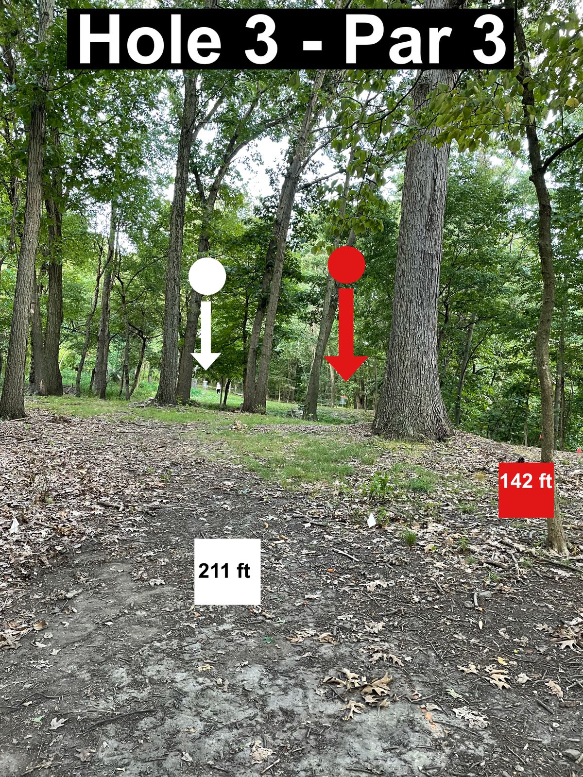 Hole 3 par 3