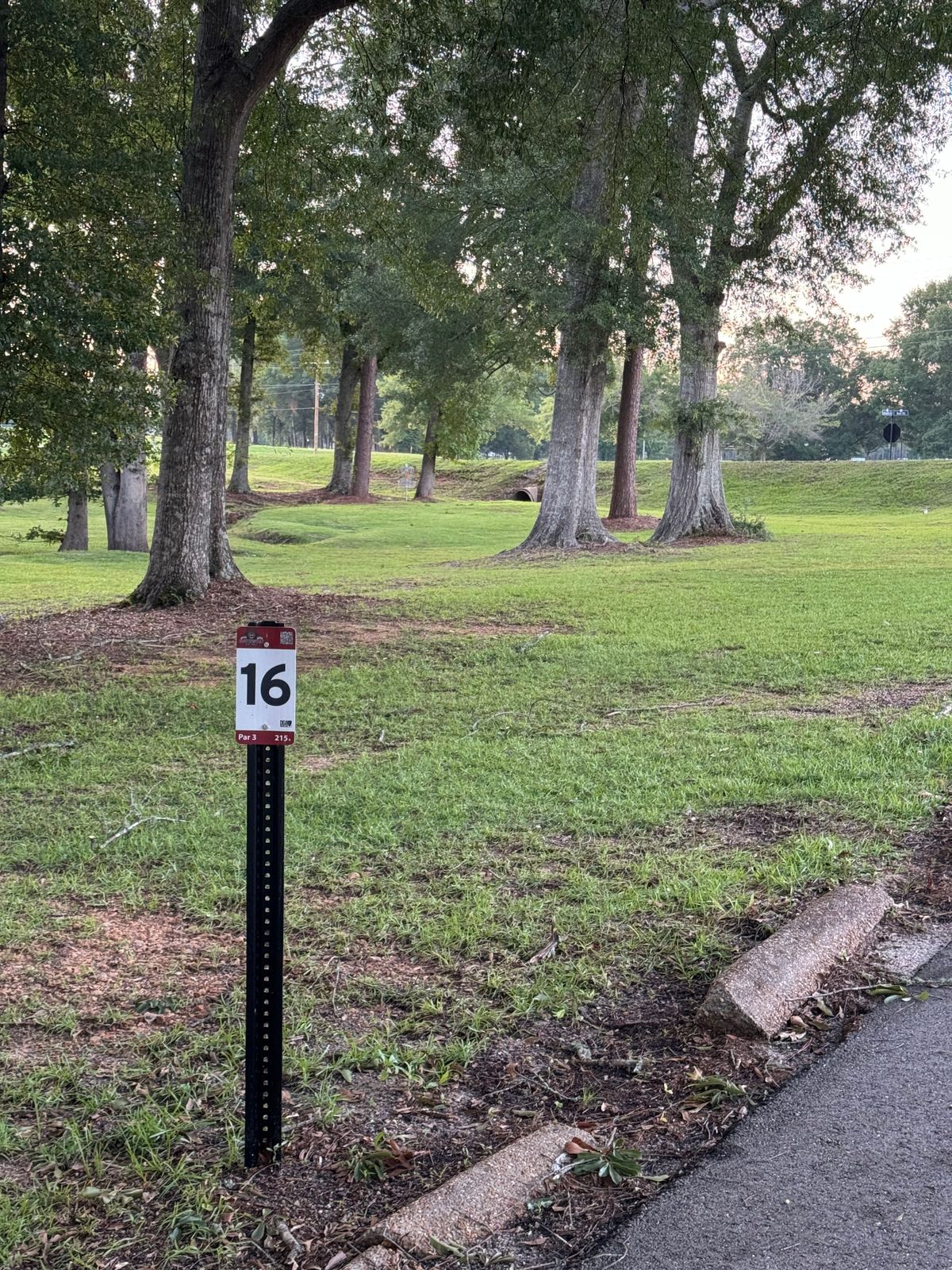 Hole 16 – Par 3 - Water Hazard